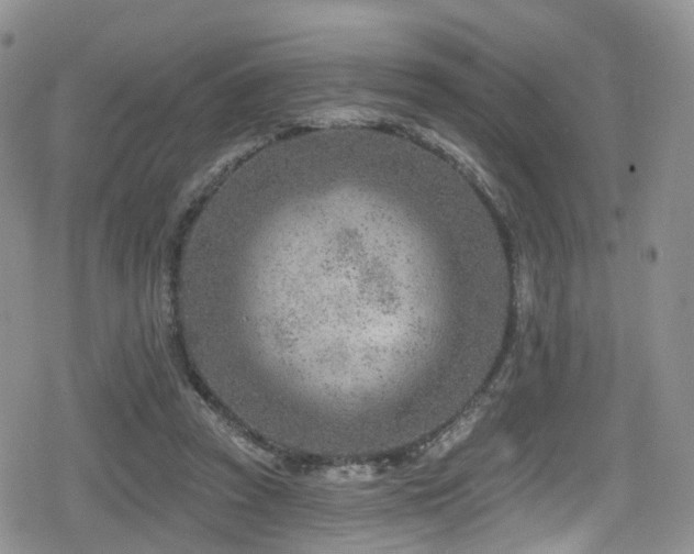 X0000080200353200612081433