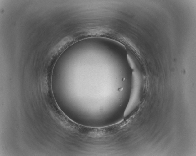 X0000080200354200612081433