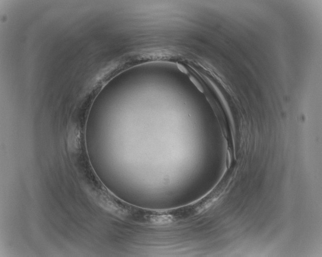 X0000080200355200612081433