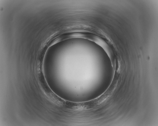 X0000080200356200612081433