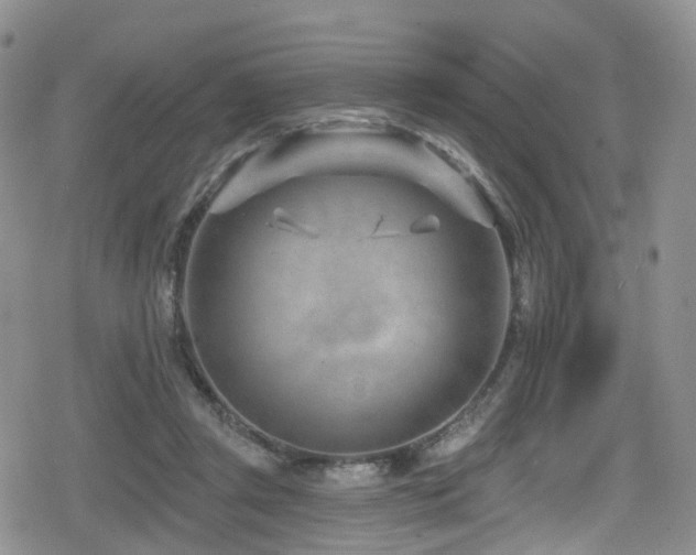 X0000080200357200612081433