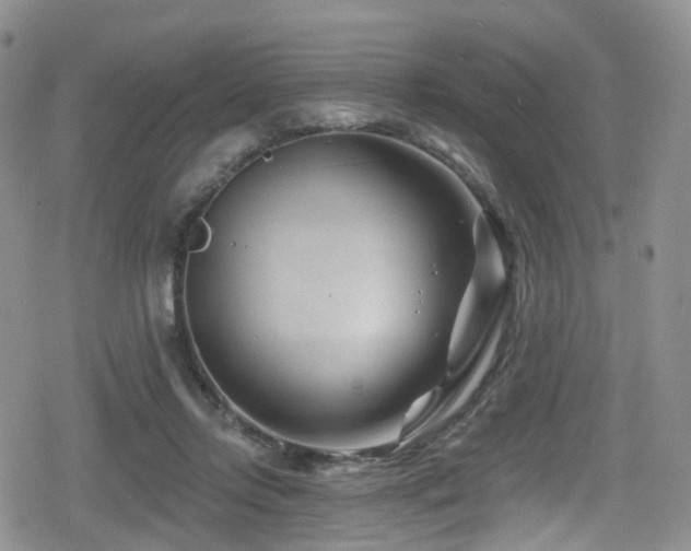 X0000080200358200612081433