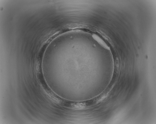 X0000080200359200612081433