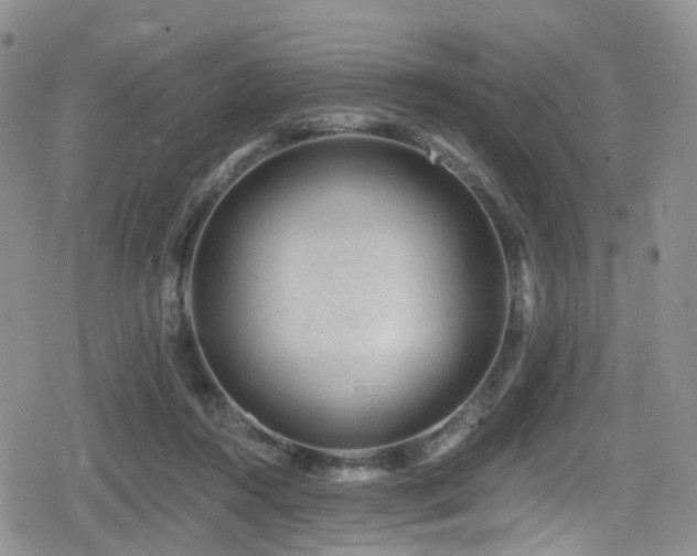 X0000080200360200612081433