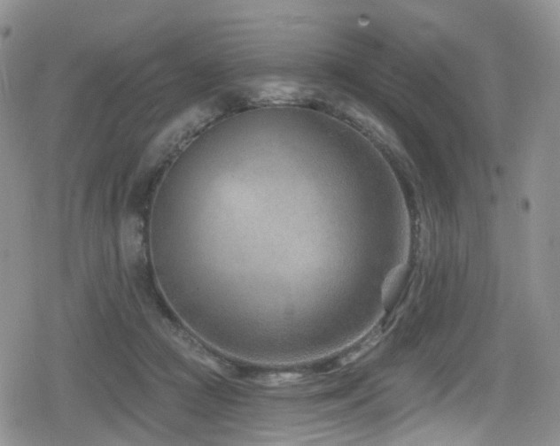 X0000080200361200612081433