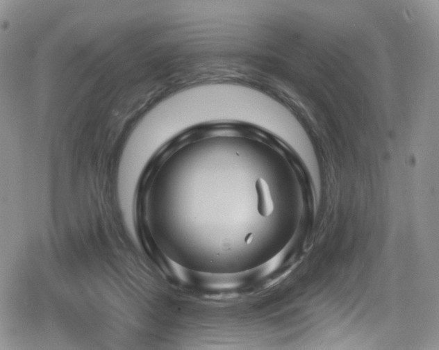 X0000080200362200612081433