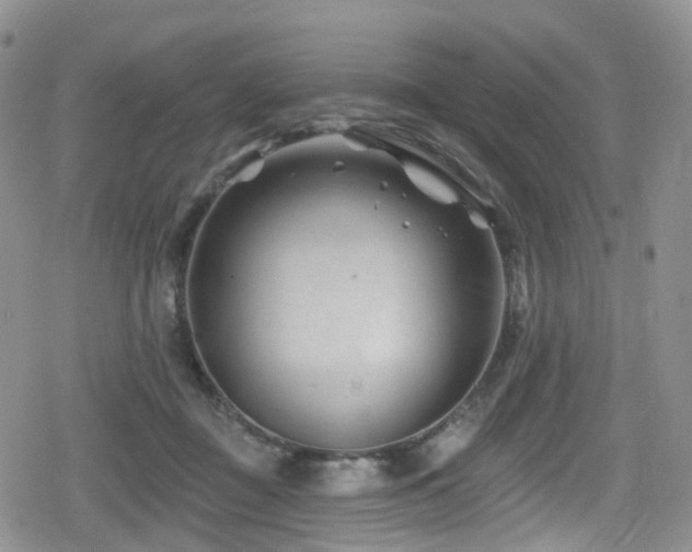 X0000080200363200612081433