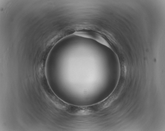 X0000080200364200612081433