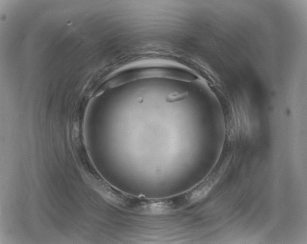 X0000080200365200612081433