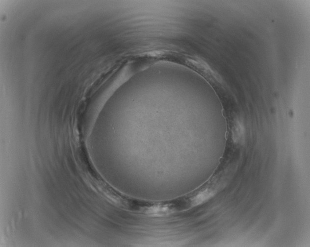 X0000080200366200612081433