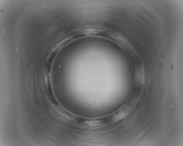 X0000080200367200612081433