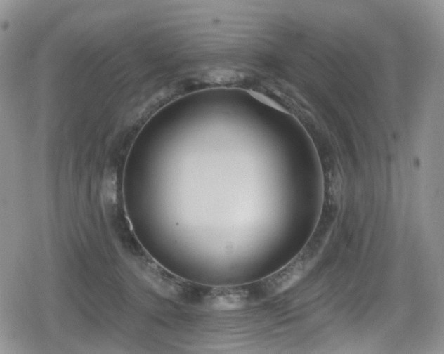 X0000080200368200612081433