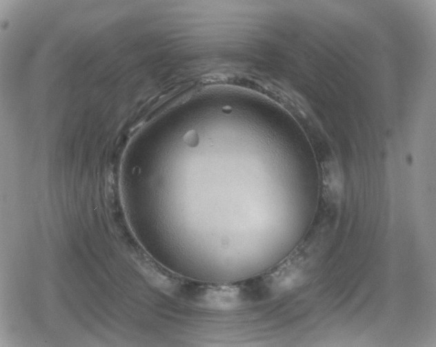 X0000080200369200612081433