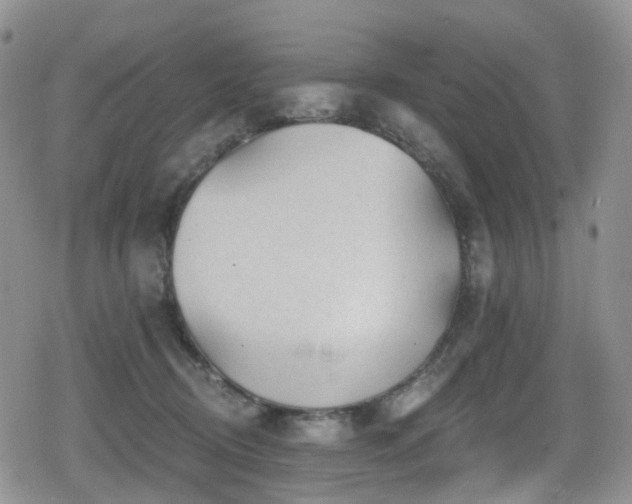 X0000080200370200612081433