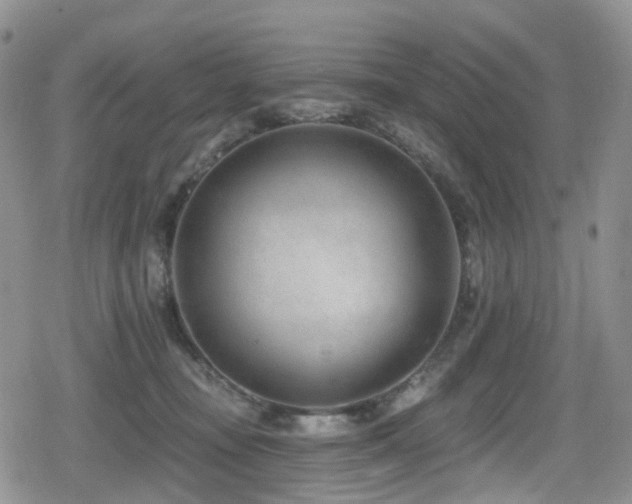 X0000080200371200612081433