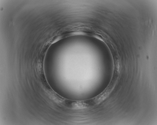 X0000080200372200612081433