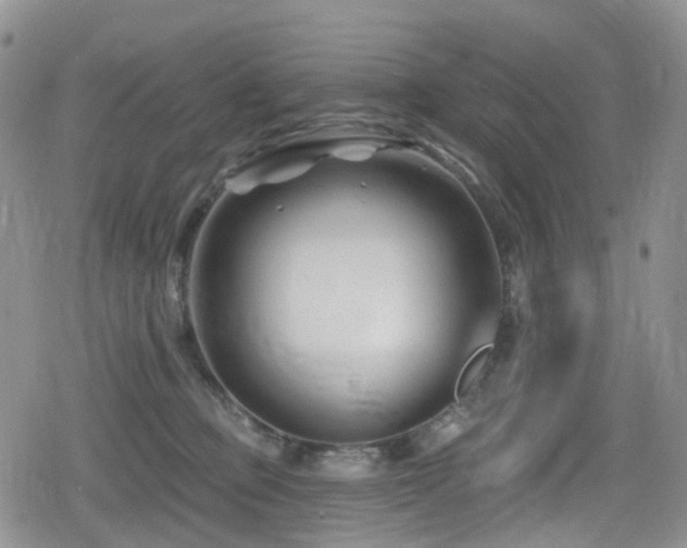 X0000080200373200612081433