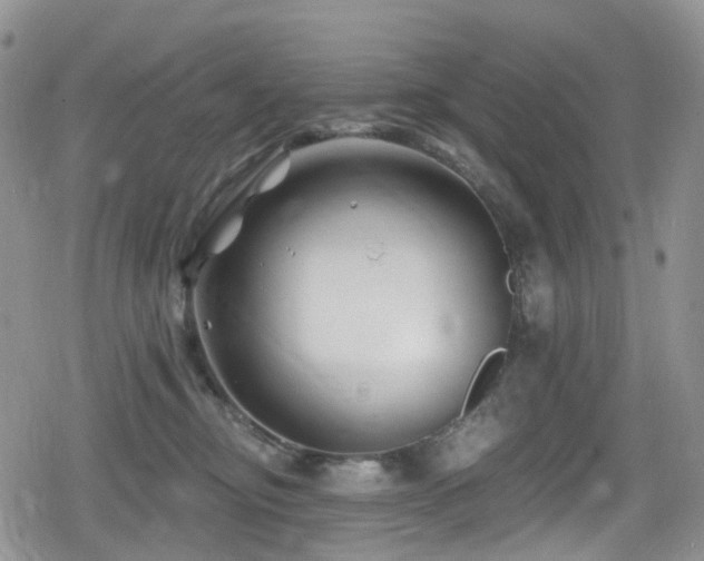 X0000080200374200612081433