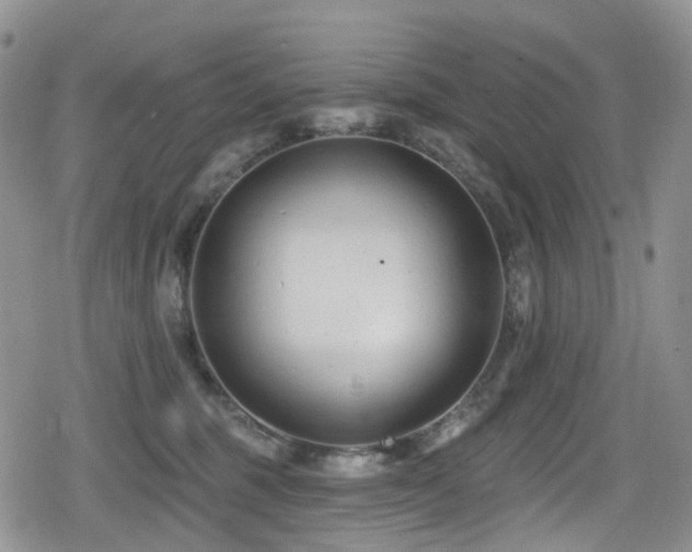 X0000080200375200612081433