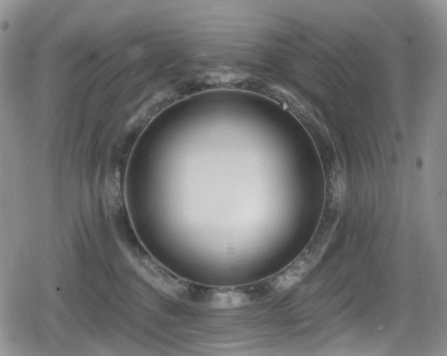 X0000080200376200612081433