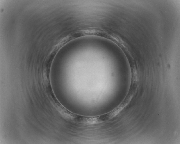 X0000080200377200612081433