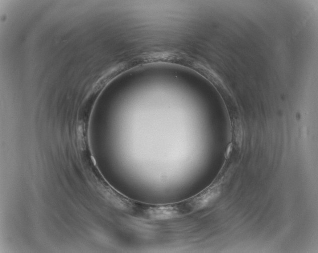 X0000080200378200612081433