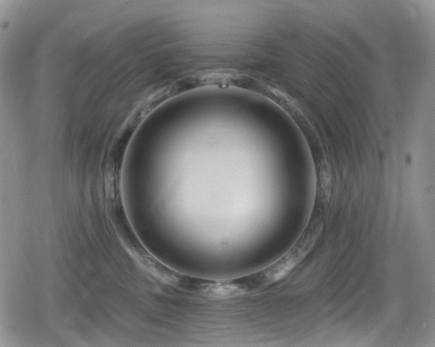 X0000080200379200612081433