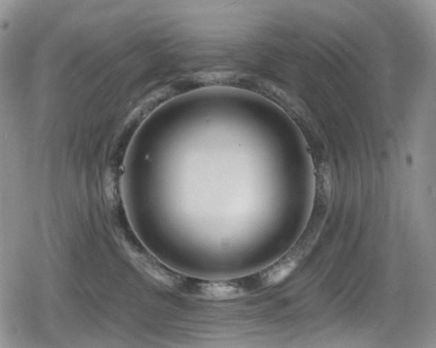 X0000080200380200612081433