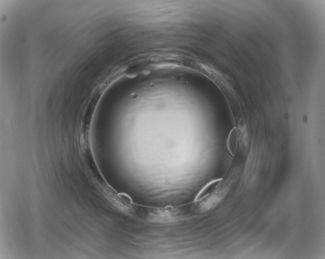 X0000080200381200612081433