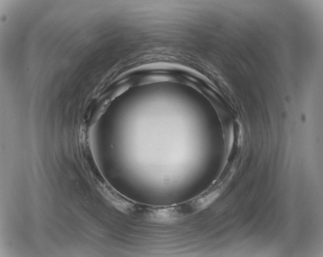 X0000080200382200612081433