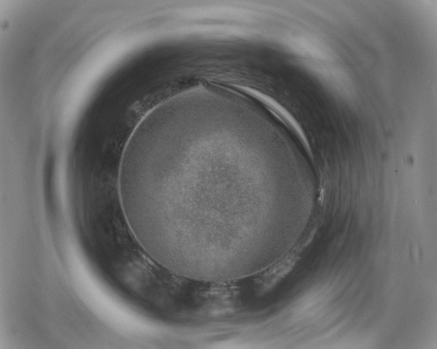 X0000080200383200612081433