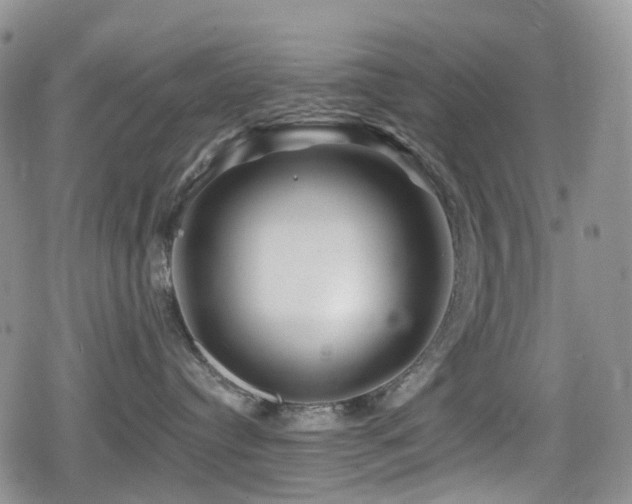 X0000080200384200612081433