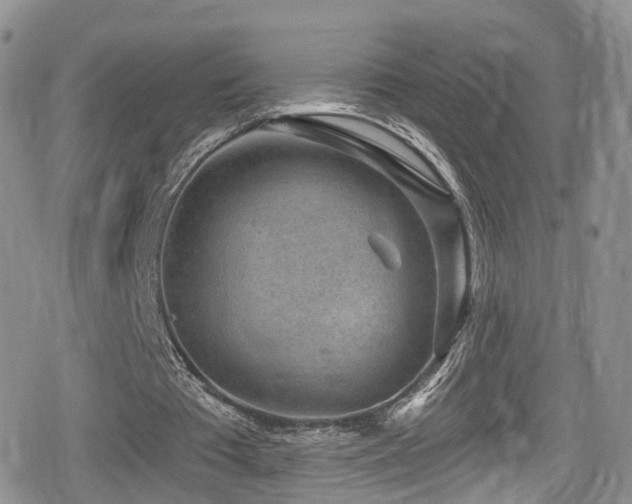 X0000080200385200612081433