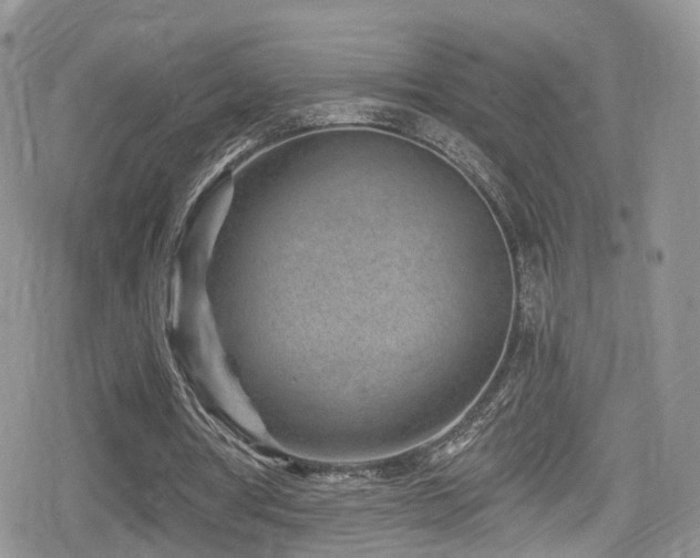 X0000080200386200612081433