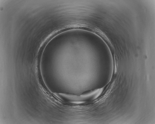 X0000080200387200612081433