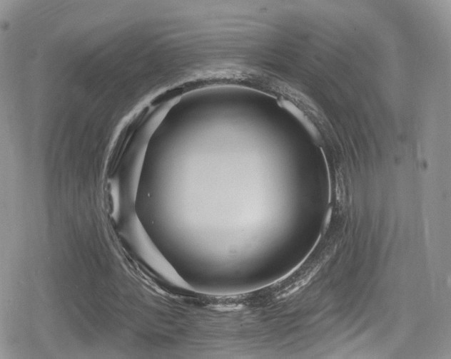 X0000080200388200612081433