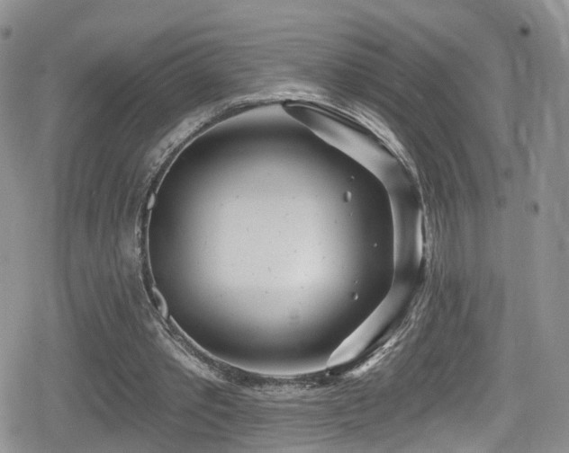 X0000080200389200612081433