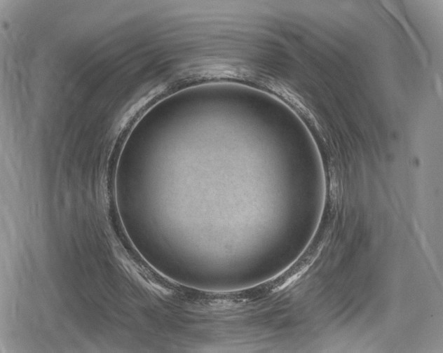 X0000080200390200612081433