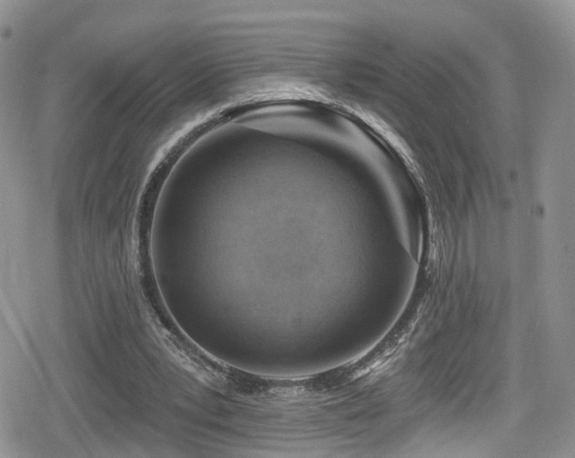 X0000080200391200612081432