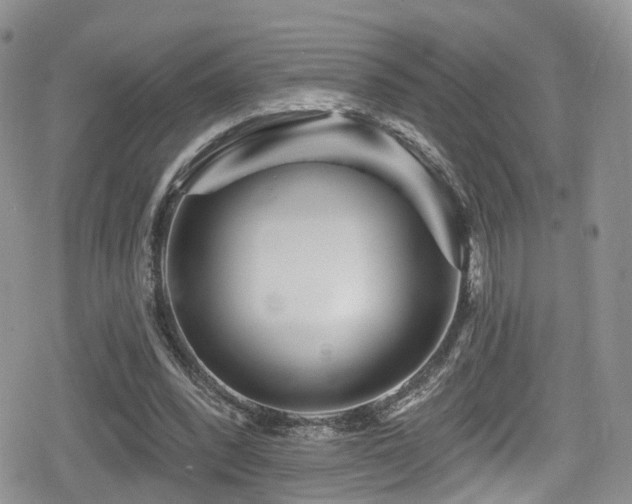 X0000080200392200612081432