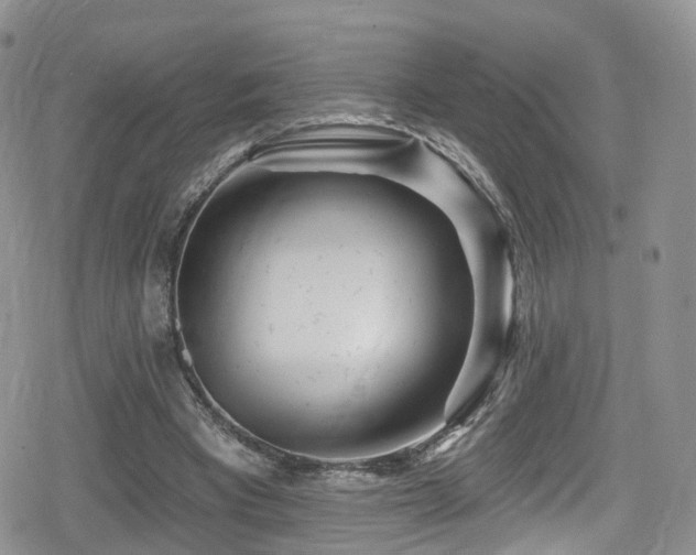 X0000080200393200612081432