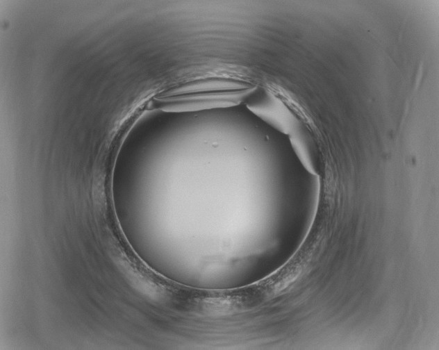 X0000080200394200612081432