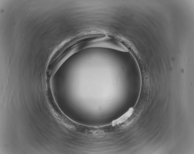 X0000080200395200612081432