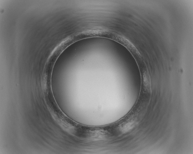 X0000080200396200612081432