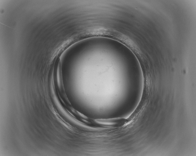 X0000080200397200612081432