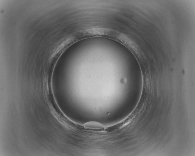 X0000080200398200612081432