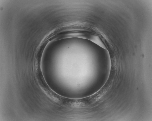 X0000080200400200612081432