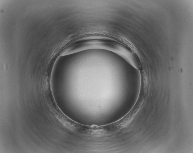 X0000080200401200612081432