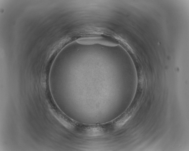 X0000080200402200612081432