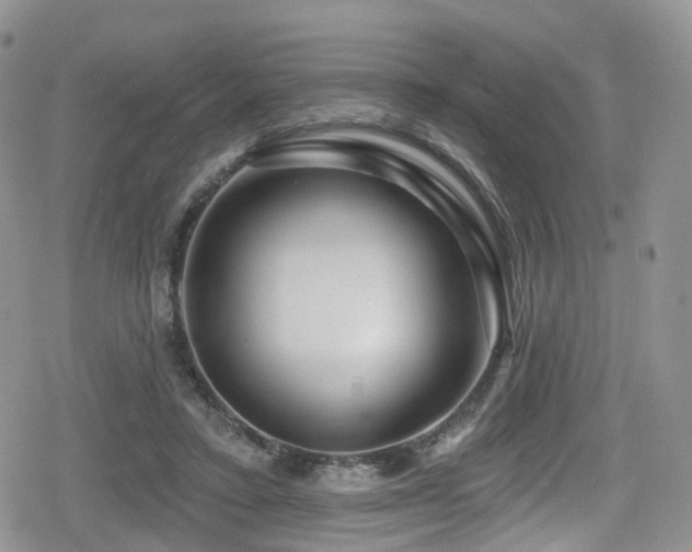 X0000080200403200612081432